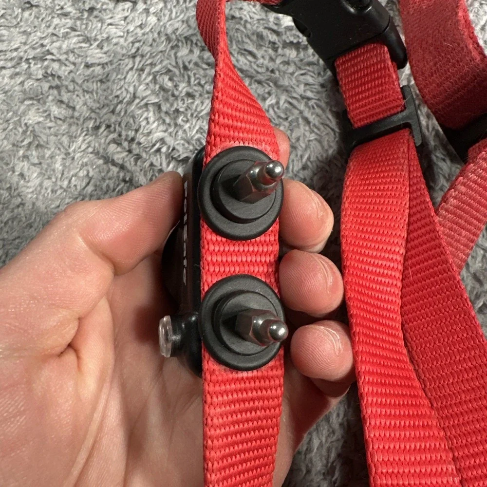 PetSafe two buckles